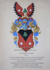 Brown - Coat of Arns painting  -watercolor paper