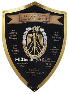 military-insignia-3m