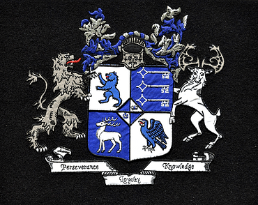 embroidery-blue-silver-m