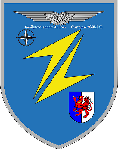 Military crest shield, commander appreciation shields, military insignia