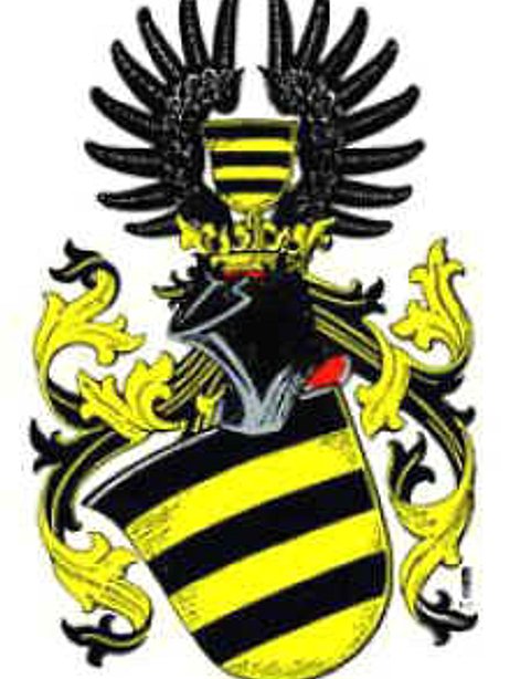 coat of arms shield wings